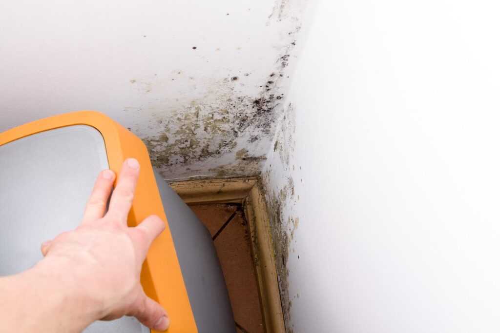 Person removing moldy wall panel corner
