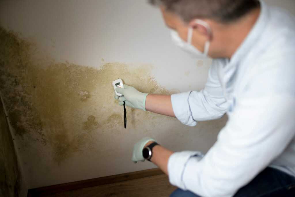 Person testing wall mold with moisture meter
